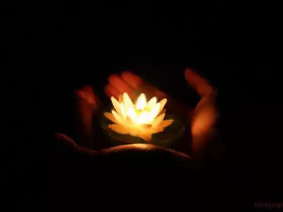 Messages from your Spiritual Guides, Angels, and Others