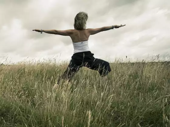 #9 Hatha Yoga - Multibahasa