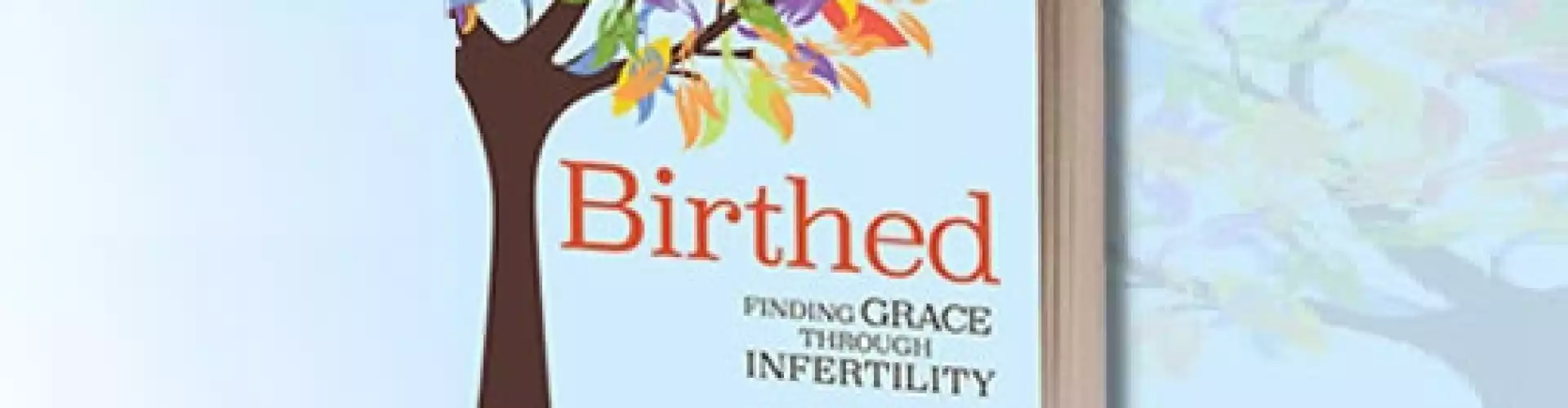 Talking Infertility: A Conversation with Authors Elizabeth Hagan and Justine Froelker - Online Class by Deborah Arca