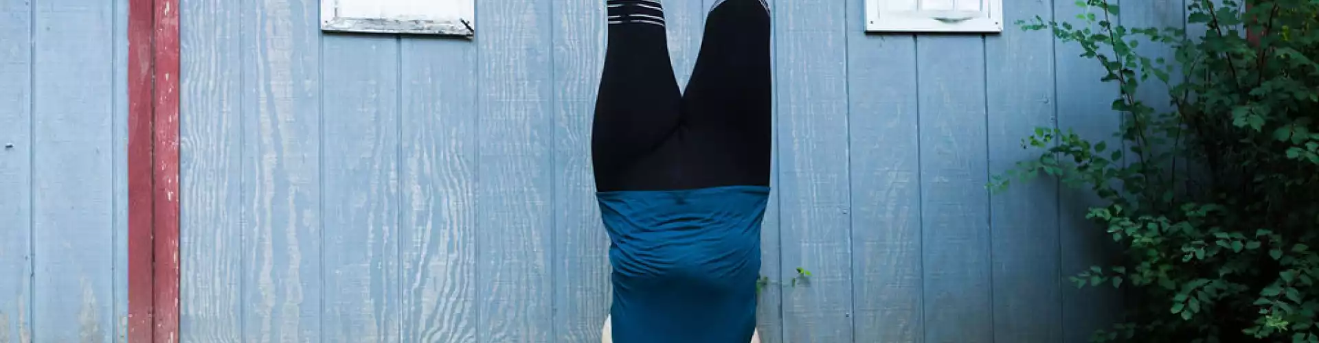Clases en línea de Shiva Shakti - Online Class by Suann Polverari