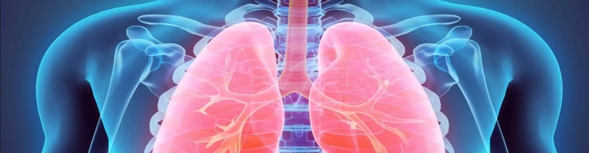 Breathing: An Incredible Gift for Natural Renewal - Online Class by Jaya  Pancholy