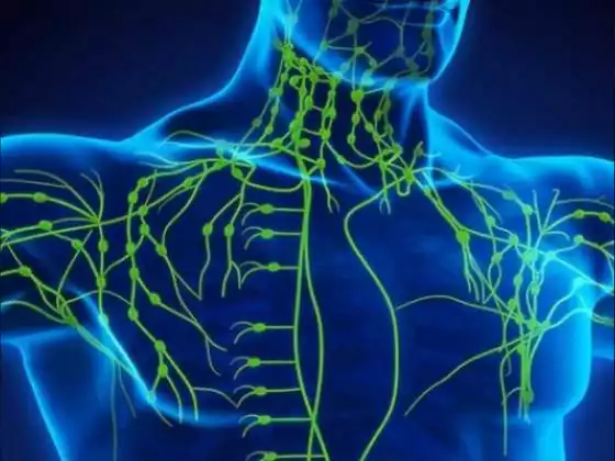 The Lymphatic System is vital to your Health so How can you Help it?