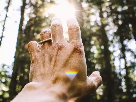 Reiki two training class March 5th online option