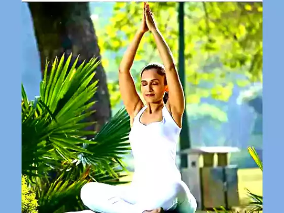 Yoga phục hồi