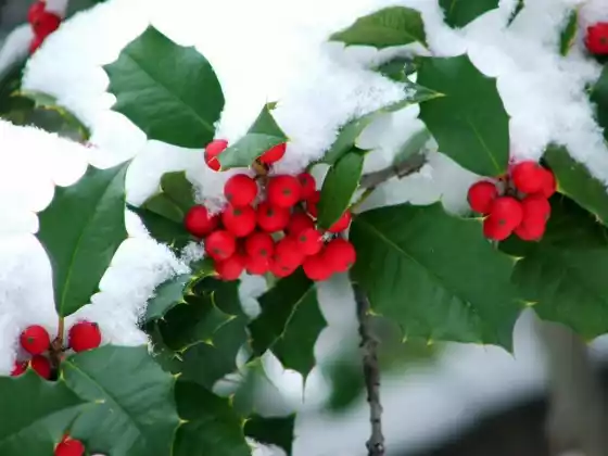 Solstice d'hiver 2023 - Se connecter aux traditions d'une nouvelle manière