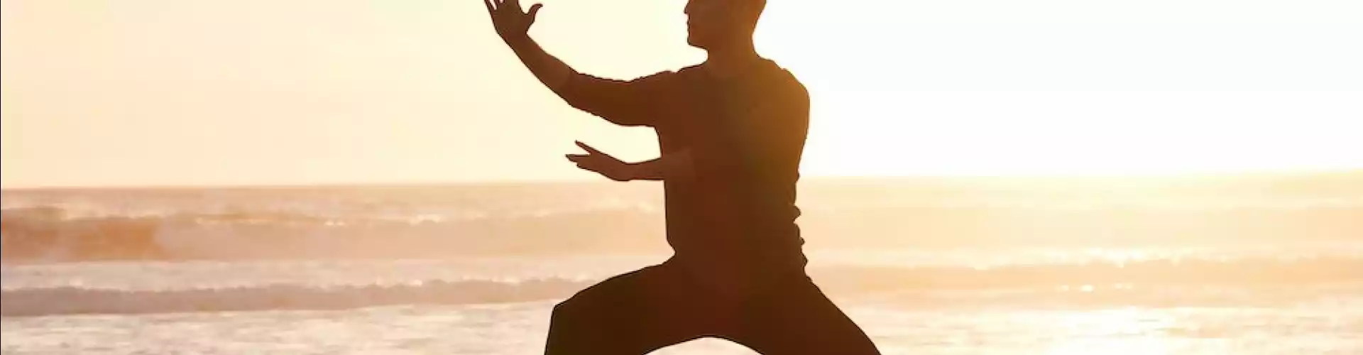 Qigong dengan 8 Brokat - Online Class by Cassaundra Paolini