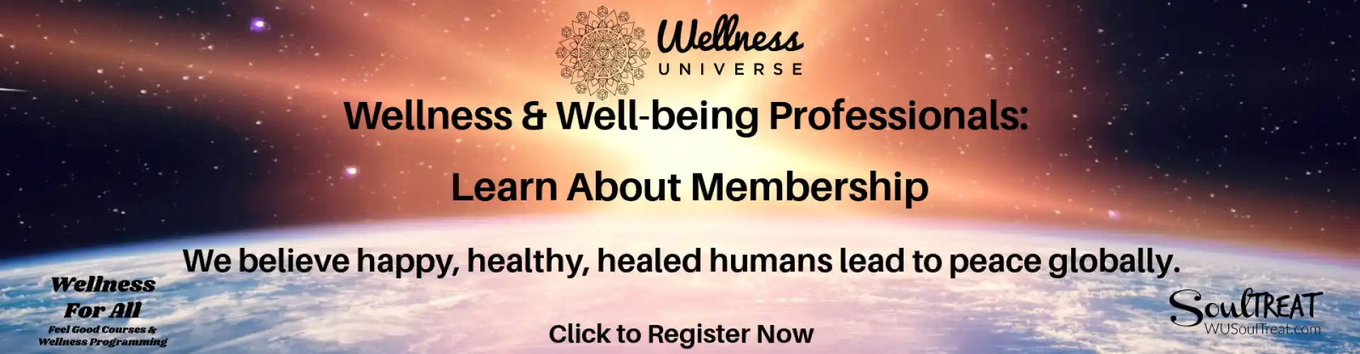 健康宇宙會員介紹 - Online Class by The Wellness Universe