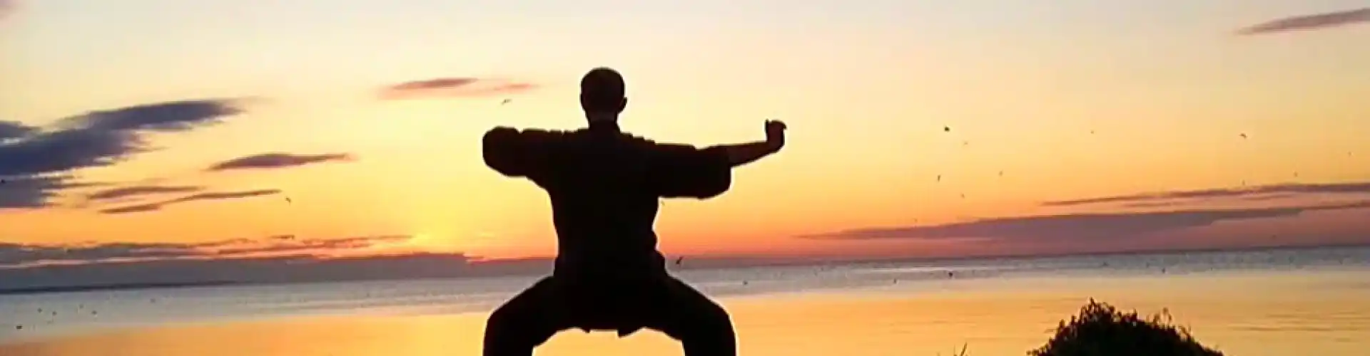 1 hora de Qigong com 8 brocados de seda - Online Class by Cassaundra Paolini