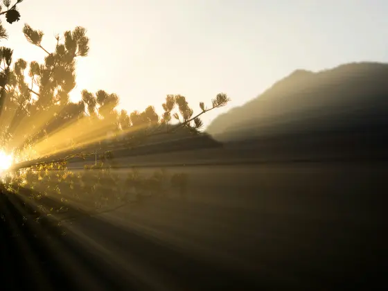 Wonderment - A trance-channeling with Yeshua