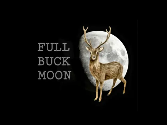 Full Buck Moon Meditation