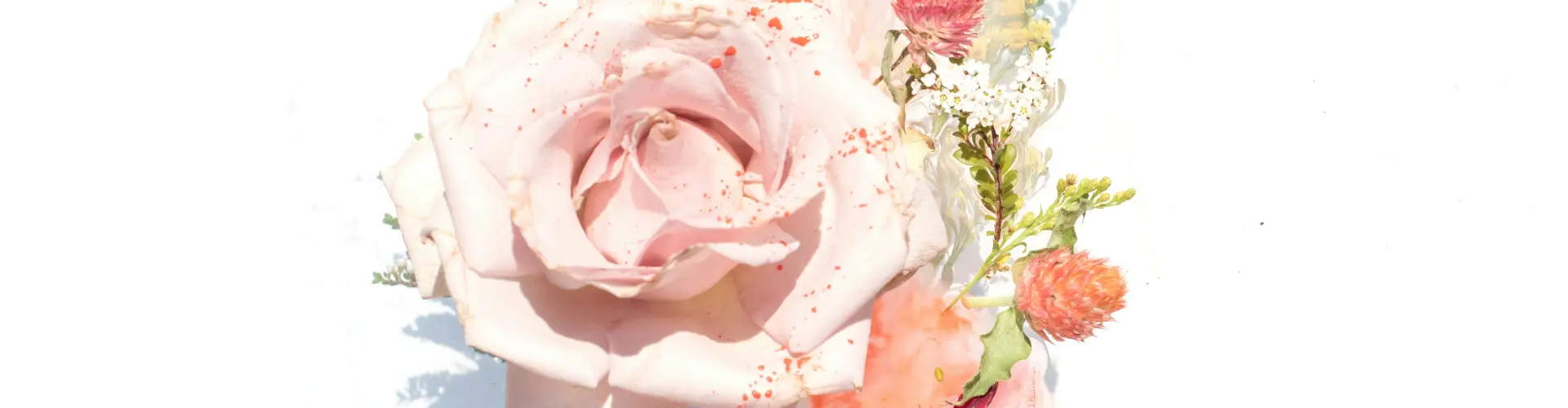 Cura Reiki Remota por 33 minutos - Online Class by Jamie Butler